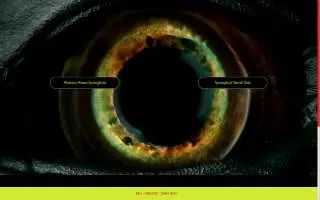 Monster Pawn Springfield Inc of South Holland website