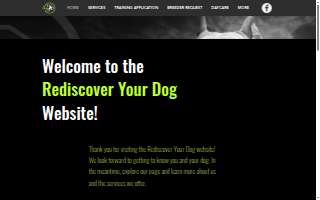 Rediscover Your Dog