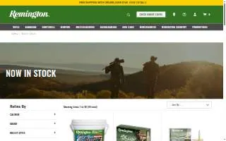 Remington Architecture website