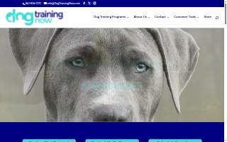 Dog Training Now of Streamwood