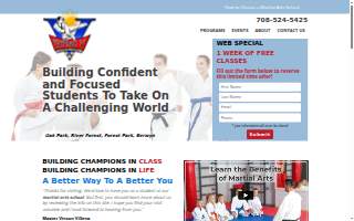 Flying V Martial Arts - La Grange