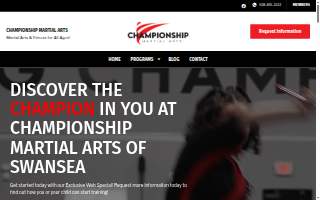 Championship Martial Arts - Swansea