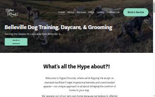 Hyped Hounds of Swansea