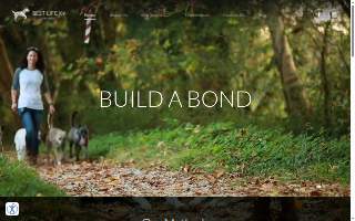 Best Life K9 Training