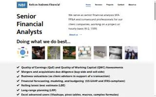 Nelson Business Consultants website