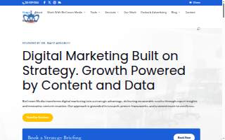 BizCrown Media Digital Marketing
