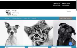 Village Veterinary Practice-Western Springs