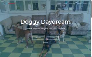Doggy Daydream of Wheeling