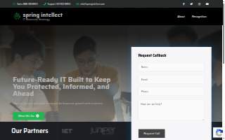 Spring Intellect - IT Business Strategy