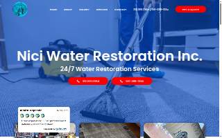 Nici Carpet Cleaning of Wilmette