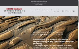 Iron Eagle KungFu & Tai Chi/ Life Force Health & Wellness & Fitness LLC