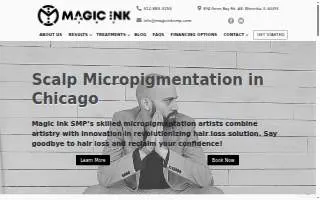 Magic Ink SMP website