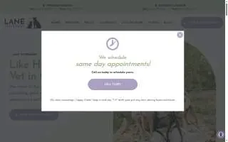 Lane Veterinary - Elmhurst website