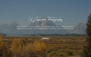 Anderson Photo Studio & Graphics