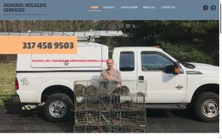 Critter Removal Indianapolis