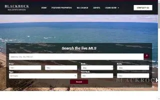 Blackrock Real Estate Services website
