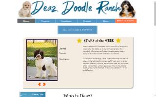 Deaz Doodle Ranch