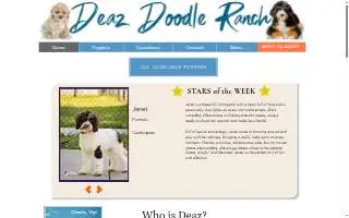 Deaz Doodle Ranch website