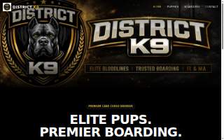 District K9