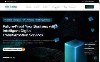 EitBiz - Software, Mobile App & Web Development Company