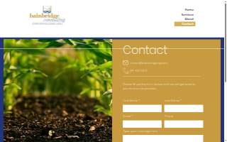 Bainbridge Consulting
