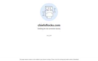 Chief of Locks - Locksmith