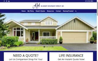 The Alliance Insurance Group