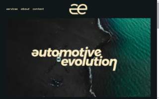 Automotive Evolution LLC
