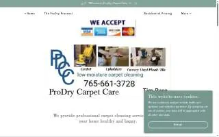 ProDry Carpet Care website