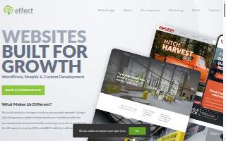 Effect Web Agency