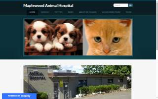 Maplewood Animal Hospital of Muncie