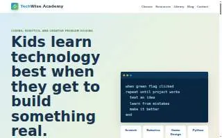 TechWise Academy website