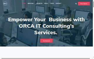 Orca IT Consulting