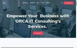 Orca IT Consulting website