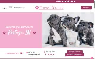 Furry Babies Portage