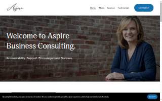Aspire Business Consulting