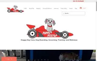 Puppy Pitstop website