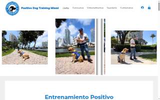 Positive Fitness