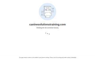 Canine Solutions Dog Training