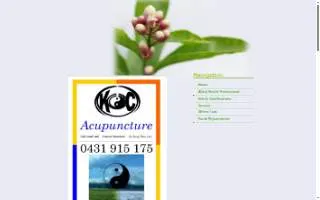KC Acupuncture & TCM Center of Bonner Springs website