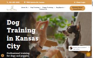 Sit Now Stay Dog Training of Kansas City