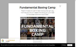 Animal Kingdom Boxing