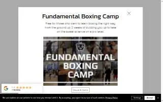 Animal Kingdom Boxing website