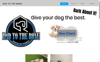 Bad to the Bone Boarding & Grooming
