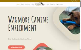Wagmore Canine Enrichment: Training Center