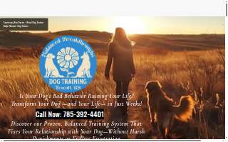 Balanced Breakthroughs Dog Training