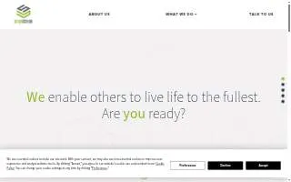Data Scribe Solutions website