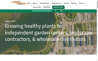 Loma Vista Nursery Inc