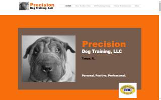 Precision Dog Training Academy