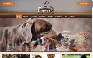 Princes Quality Gun Dogs